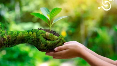 Responsabilidad medioambiental: Seguros obligatorios para empresas con riesgo ecológico